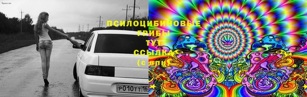 бутират Нязепетровск