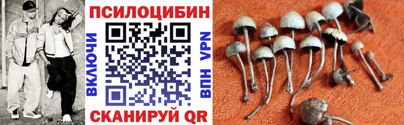 где продают   Балашов  Галлюциногенные грибы MAGIC MUSHROOMS 